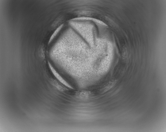 X0000074030282200609181934