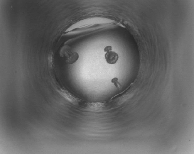 X0000074030288200609181935