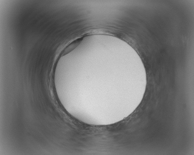 X0000074030289200609181934