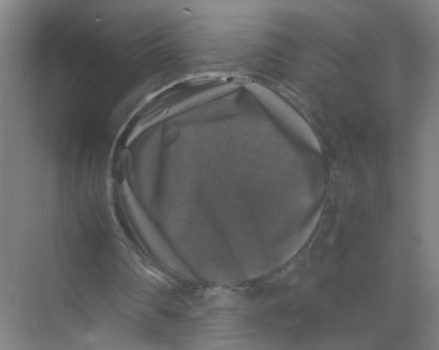 X0000074030290200609181934