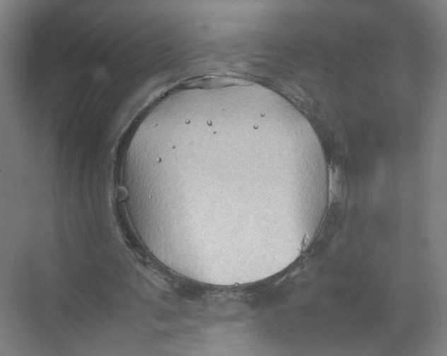 X0000074030291200609181934