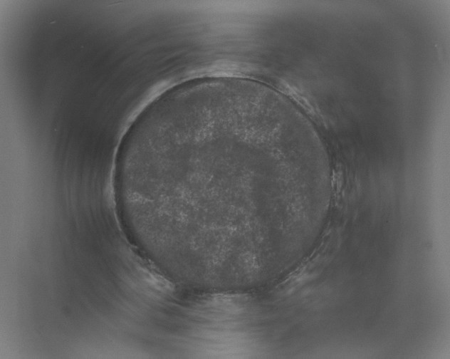 X0000074030292200609181934