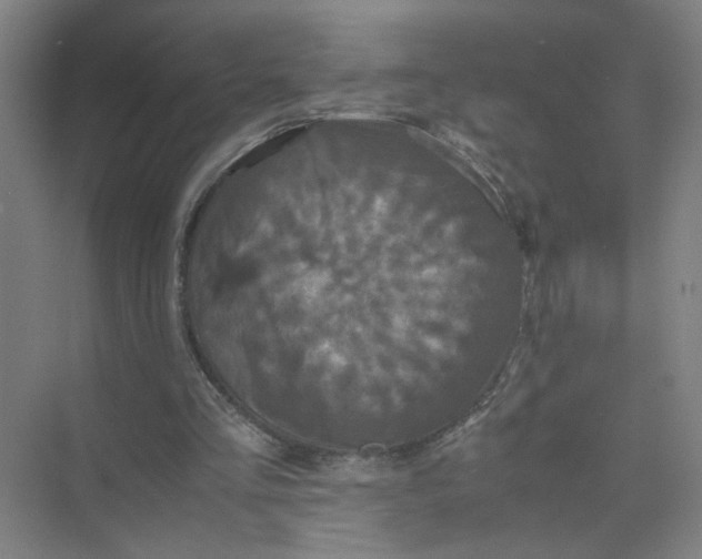 X0000074030293200609181934