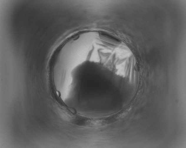 X0000074030295200609181934