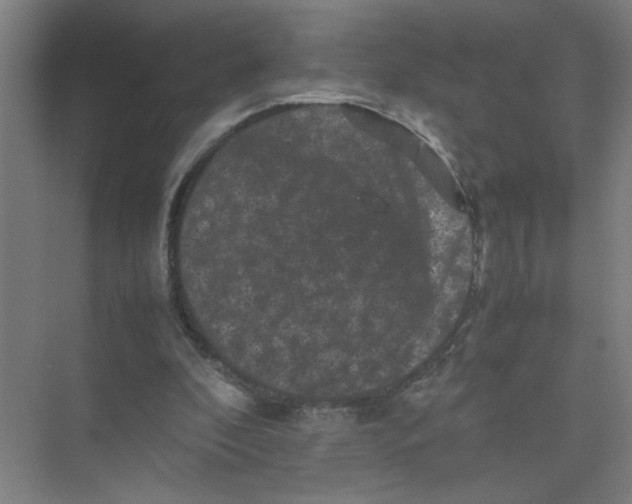 X0000074030296200609181934