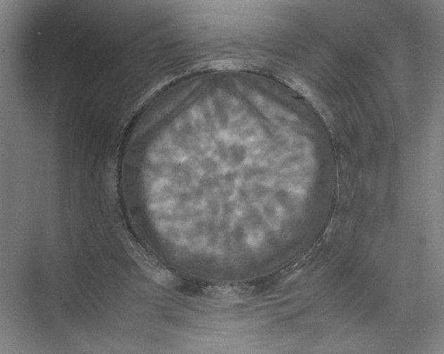 X0000074030297200609181934