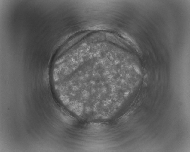 X0000074030298200609181934