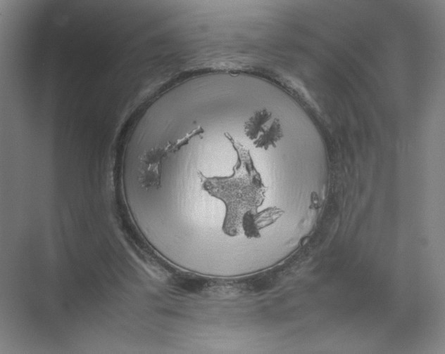 X0000074030299200609181934