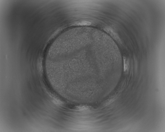 X0000074030300200609181934