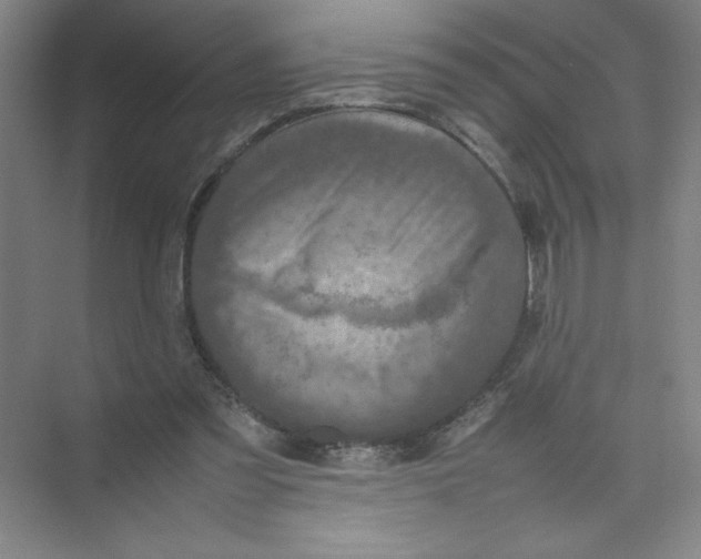 X0000074030301200609181933