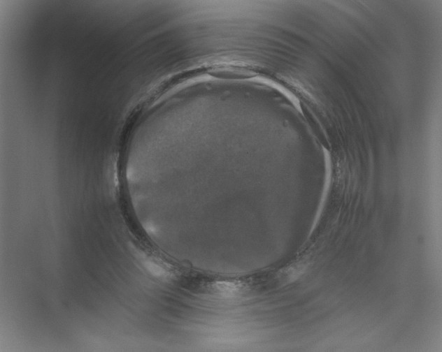 X0000074030302200609181933