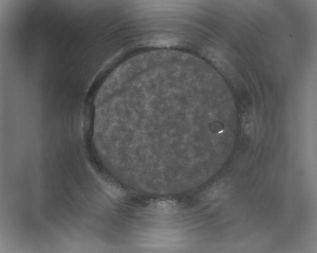 X0000074030304200609181933