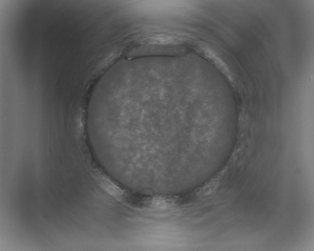 X0000074030305200609181933