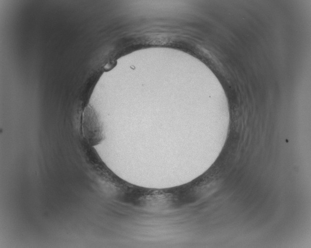 X0000074030307200609181933