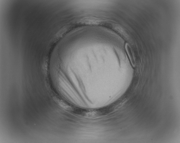 X0000074030309200609181933