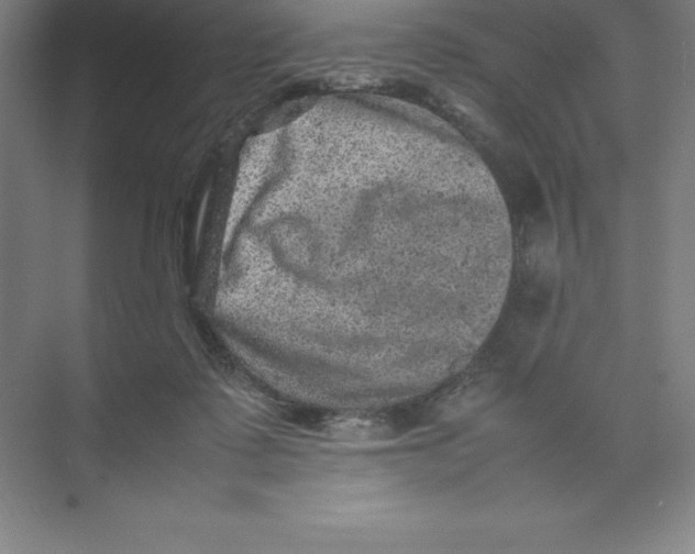 X0000074030315200609181933