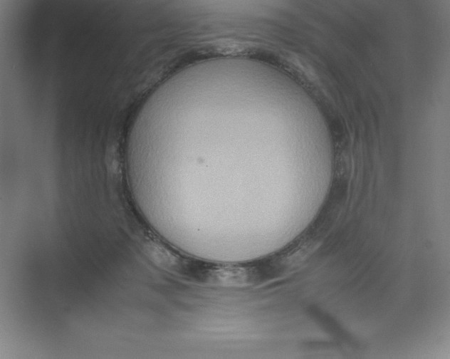 X0000074030317200609181933