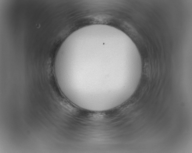 X0000074030318200609181933