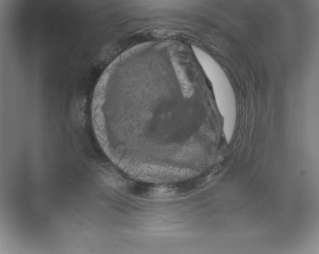 X0000074030319200609181933