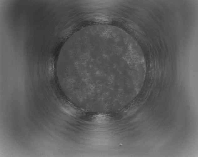 X0000074030320200609181933