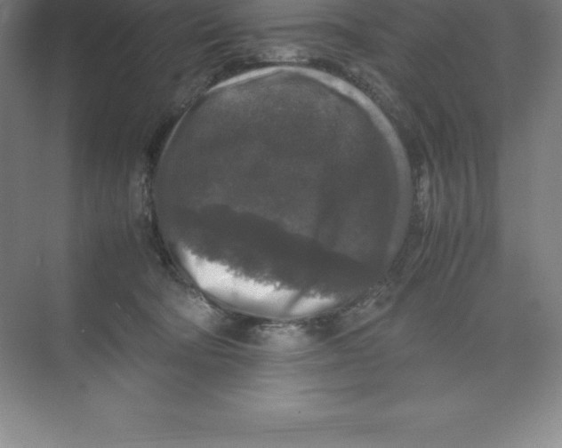 X0000074030322200609181933