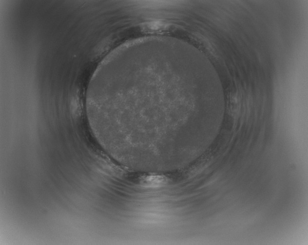 X0000074030324200609181933