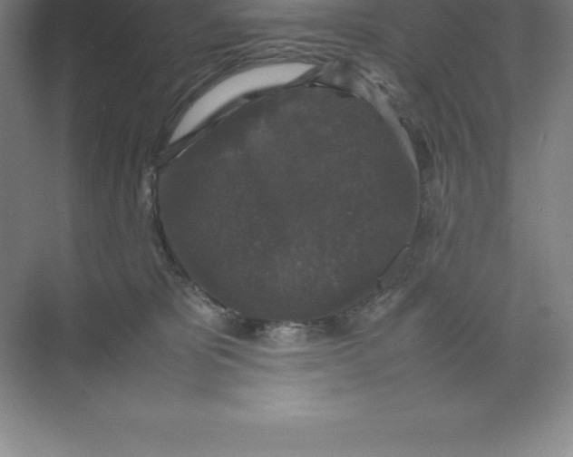 X0000074030325200609181933