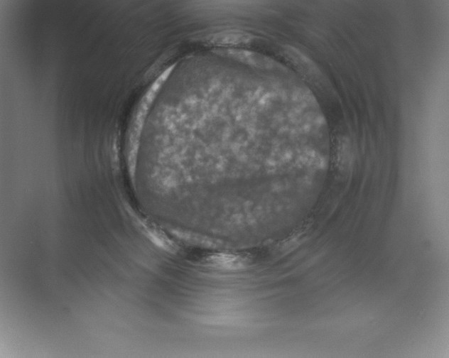 X0000074030326200609181933