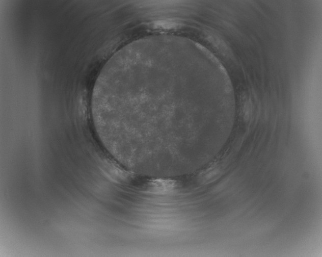 X0000074030328200609181933