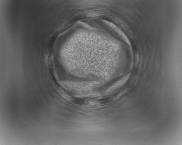 X0000074030329200609181933