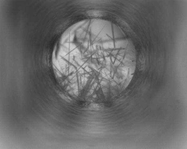 X0000074030330200609181933