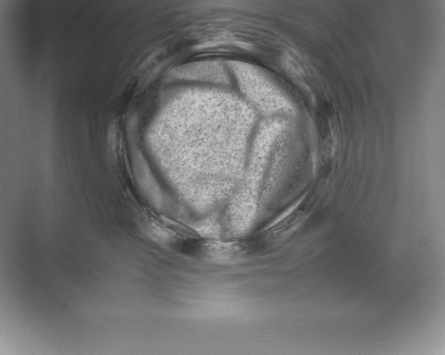 X0000074030333200609181933