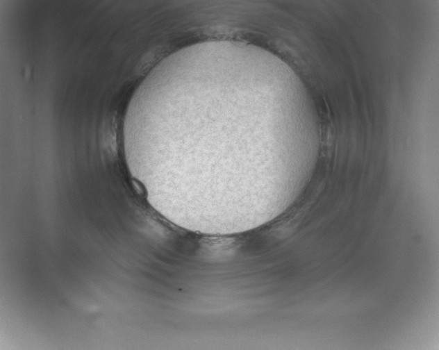 X0000074030334200609181933