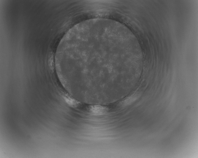 X0000074030336200609181933