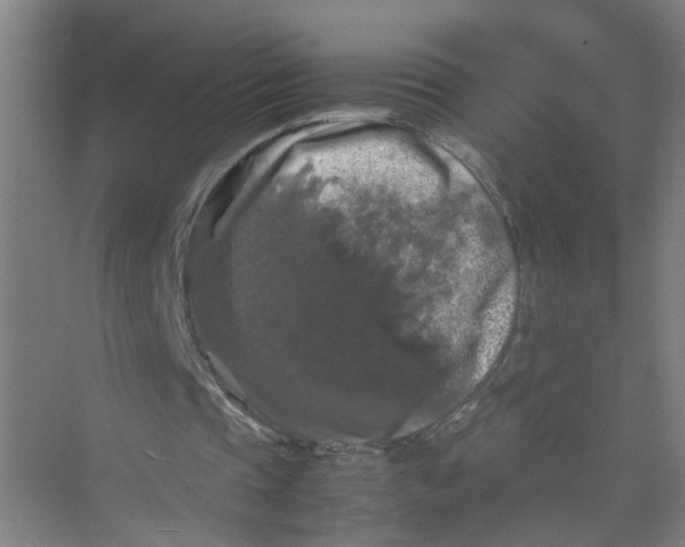 X0000074030337200609181932