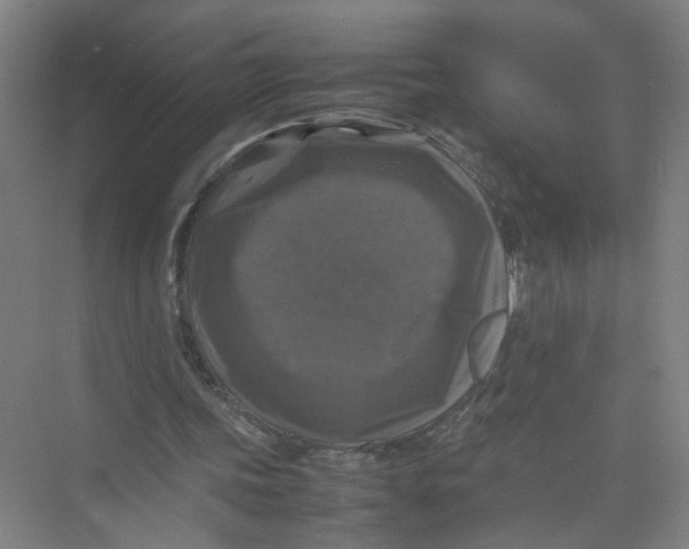 X0000074030339200609181932