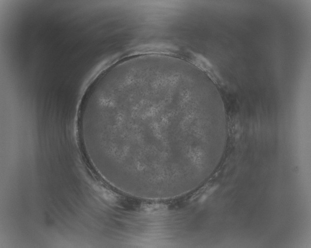 X0000074030340200609181932