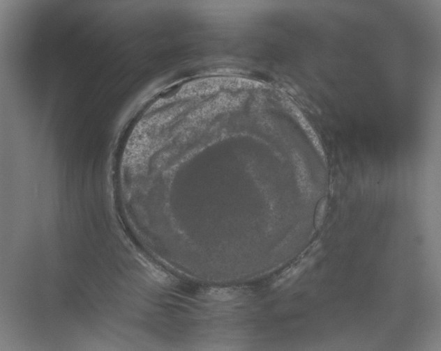 X0000074030341200609181932