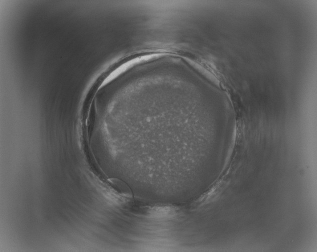 X0000074030342200609181932