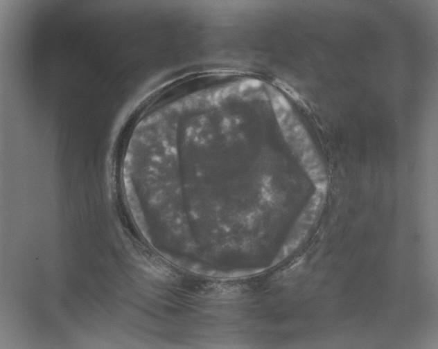 X0000074030343200609181932