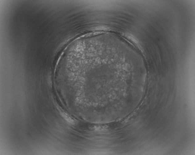 X0000074030345200609181932