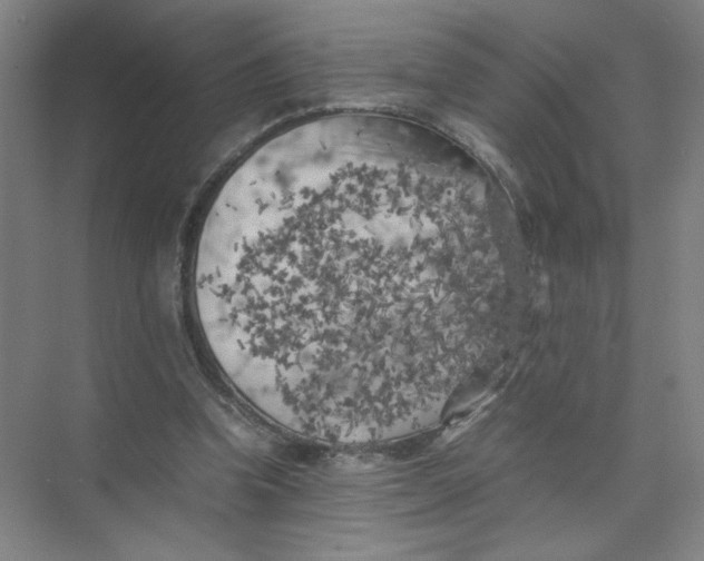 X0000074030346200609181932