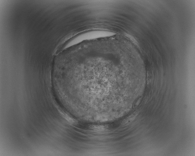 X0000074030349200609181932