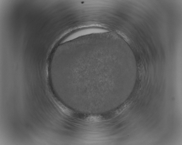 X0000074030350200609181932