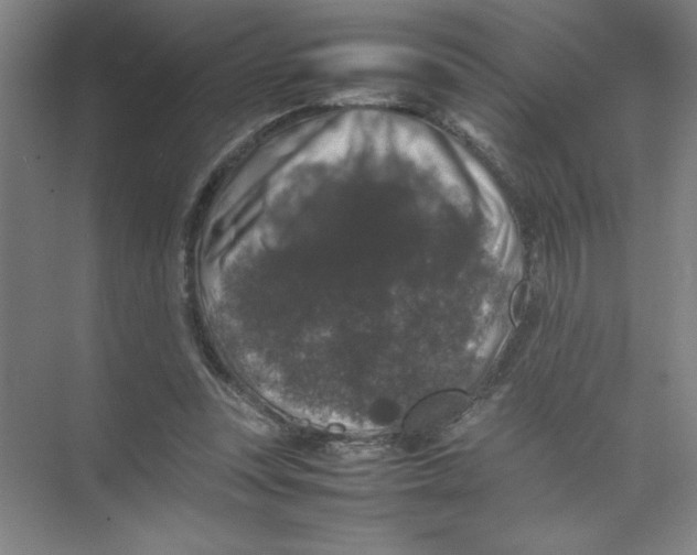 X0000074030351200609181932