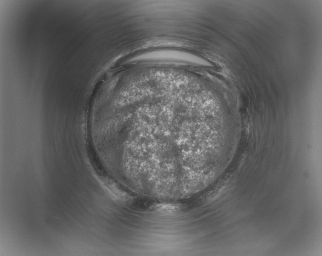 X0000074030352200609181932