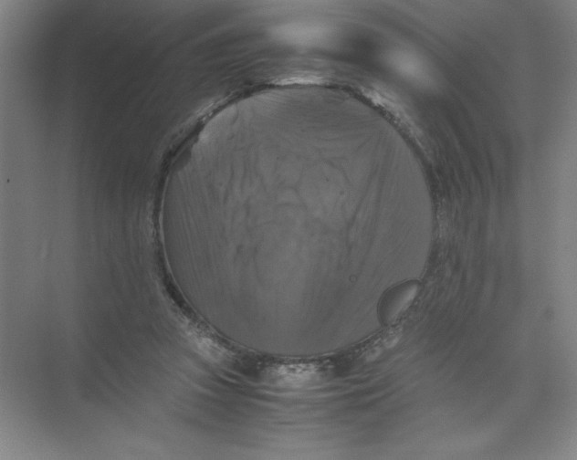 X0000074030353200609181932