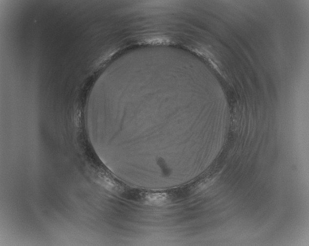 X0000074030355200609181932