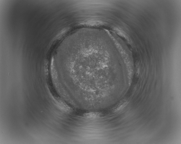 X0000074030356200609181932