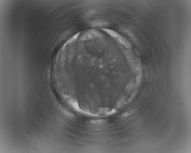 X0000074030357200609181932